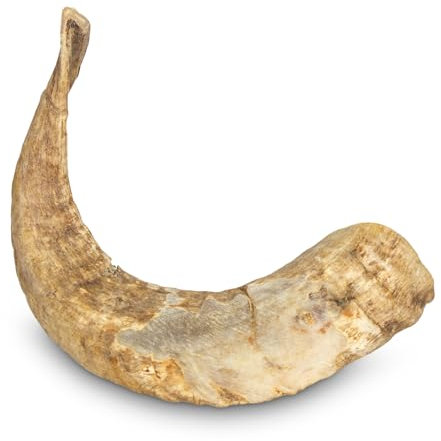 Giocattolo da masticare per cani a forma di corno di ariete, taglia M (<200 g)