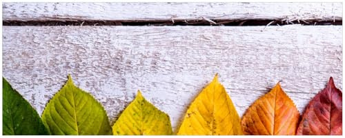 Wallario Küchenrückwand selbstklebend 115 x 50 cm, Motiv: Bunte Herbstblätter auf hellem Holz | Spritzschutz abwischbar & pflegeleicht