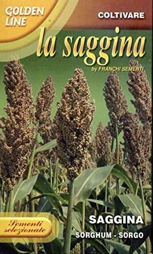 SEMENTI SELEZIONATE DI SAGGINA (SORGHUM) IN CONFEZIONE DA 100 GRAMMI