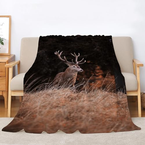 Kuscheldecke Flauschig Elch Decke für Bett und Sofa, Wiese Pflanzen Extra Weich Warme Mikrofaser Wohndecke Fleecedecke als Sofadecke Couchdecke 220x240