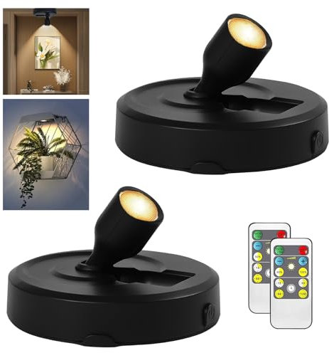 RAHAN 2Pack Alimentato a Batteria LED Riflettore Immagine Luce, Illuminazione Interna con Telecomando, Luci Fotogramma, Luci di Visualizzazione Arte per Dartboard Ritratti Dipinti Opere d'arte