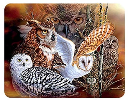3D LiveLife Magnet - Owl Woods from Deluxebase. Lenticular 3D Owl Fridge Magnet. Magnetic decor for kids and adults with artwork licensed from renowned artist, Steven Michael Gardner
