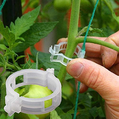 æ— Garden Plant Clips 200 Pcs Tomato Vine Vegetable Clips Plastic Trellis Vine Fixing Clips for Garden Vegetables Upright and Healthy Growing