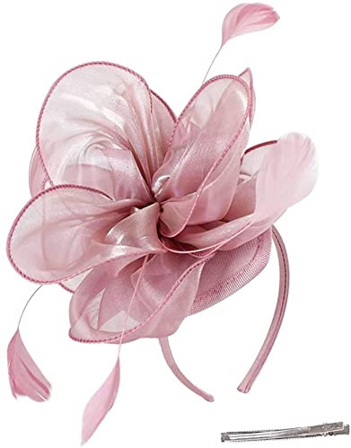 Jorzer Pale Pink Fascinator with Headband Clip Mesh Flower Feather Headband Cocktail Pillbox Hat Tea Party Headwear Weddings Fascinators for Women Pink