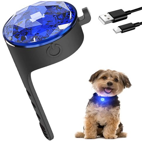 Tubasion Leuchtanhänger Hund, USB-C Wiederaufladba hundehalsband anhänger, 100% Wasserdichtem LED Blinklicht Schulranzen. Hundelichter für Nachtspaziergänge(Blau).