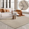the carpet Premium Wool Handweb-Teppich, Naturfaser Wollteppich, Eleganz im skandinavischen Flachgewebe-Stil, Beige, 200 cm Rund