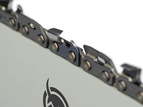 SÄGENSPEZI Catena per motosega 3/8, 1,3 mm, 53 TG, catena di ricambio adatta per motosega Alpina ACS 38