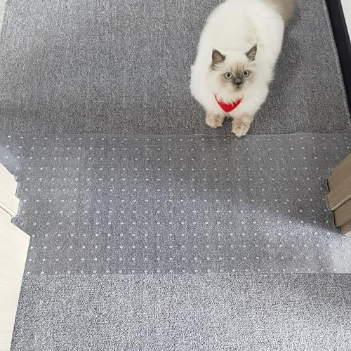 1PCS Carpet Protector for Pets,Cat Scratch Carpet Protector for Doorway,Anti Scratch Under Door Cat Scratch Protector Mat,Non-Slip,3.7FT*15inch