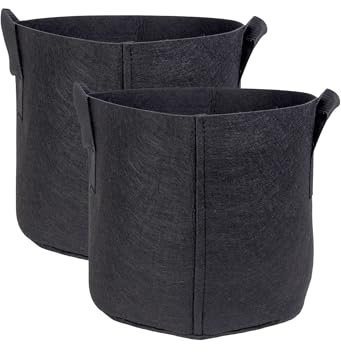 INTIRILIFE 2X Pflanzsack aus Vlies Stoff 11 Liter -3 Gallon- 25 x 22 cm - Pflanzen Übertopf mit Tragegriffen für Garten, Gewächshaus - Pflanzkübel Pflanzgefäß Pflanzbeutel Pflanztasche Kartoffelsack