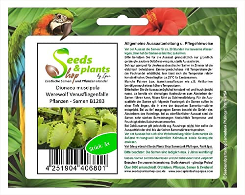 Stk - 3x Dionaea muscipula Werewolf Venusfliegenfalle Pflanzen - Samen B1283 - Seeds & Plants Shop by Ipsa