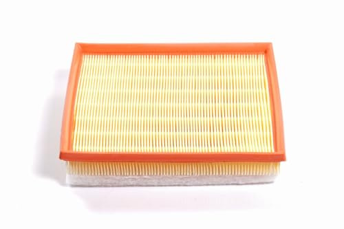 Filtro Aria Compatibile per Berlingo II dal 04/2008 C3 Picasso da 02/2009 C3 II dal 11/2009 DS3 11/2009-07/2015 C4 04/11-07/2015 DS5 11/2011-07/2014-1.6 BblueHDi 1.6 HDi BREMSI FA0213