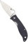 Spyderco Polestar C220GPGY Kalppmesser