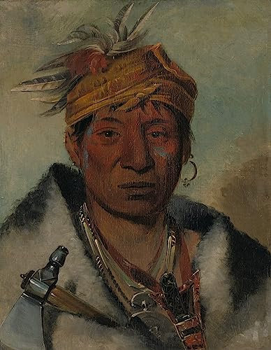 PSVDCTOO Gefeiert Wandbilder Kunst Poster Poster Bilder ein Warriories von George Catlin Vintage Wandbild für Heimdekoration 60x90cm