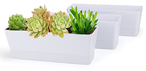 Greaner, 3er-Set rechteckige Blumenkästen, 30,5 × 9,7 cm, mit Untersetzer – weiße Pflanzkästen aus Kunststoff für Kräuter, Sukkulenten, Kakteen und Blumen, ideal für Fensterbank, Garten, Balkon, Büro