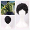 Wig for Superheld The Incredible Hulk Cosplay Perücke Plant Hulk Robert Bruce Banner Curly Black Kunsthaar für Erwachsene + Perückenkappe schwarz