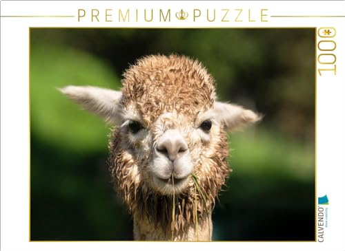 Puzzle · Alpaka | Ein Motiv aus meinem Kalender Alpakas im Portrait · 1000 Teile · Lege-Größe 64 × 48 cm · CALVENDO Puzzle