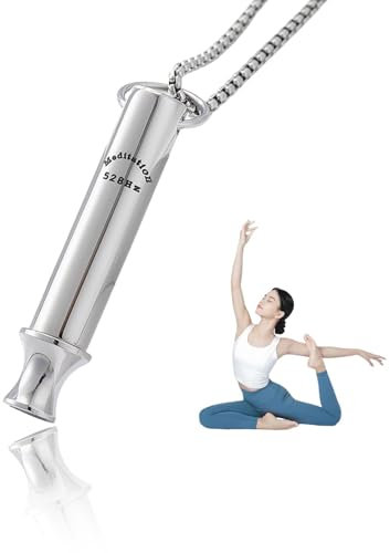 YueJieSelected Rauchentwöhnung Hilfsmittel,Edelstahl Aufhören Rauchfrei Halskette,Original Raucherentwöhnung Atem Halskette,Anti-Raucher Atemkette,Stressabbauend Gegen Angst Atemhalskette (Silber Q1)