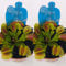 2 x Venus Fly Trap Plants in 9cm Pots - Dionaea muscipula - Venus Flytrap