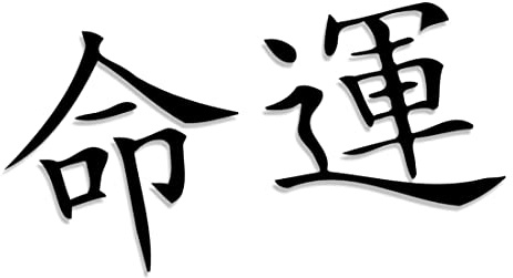 Decus Shop SCHICKSAL JAPANISCHE Zeichen XL 2373 (schwarz) // Sticker OEM JDM Style Aufkleber