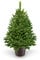 ArtiTree - Künstlicher Weihnachtsbaum 40cm im Topf - Christmas Tree für Innen und Außen, Kunstlich Baum für Weihnachtsdeko, Realistische Optik