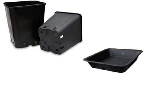 10 Pezzi - Vaso Quadro + Sottovaso ( 22 X 22 X 26 CM |11 LT) VIVAIO per ORTO Giardino- VASI Quadrati