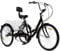 KEESUNG 24 Zoll Dreirad Erwachsene Tricycle, 24 7 Gang Erwachsene Dreirad 3-Räder Fahrrad Schwarz Klappbar Dreirad Erwachsene Tricycle mit Korb, Lampe, RüCkenlehne Und Becherhalter