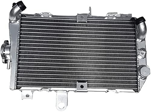 BIVEPEFB Radiateur en aluminium pour Burgman 650 AN650 AN650Z 2003 2004 2005 2006 2007 2008 2009 2010 2011 2012 2013 2014 2015 2016. 2017
