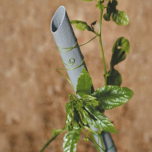 Tenax Stand Up, Tuteur pour Légumes, Hauteur 210 cm, Diamètre 2,7 cm Gris, Tuteur en Plastique Recyclé pour Le Potager