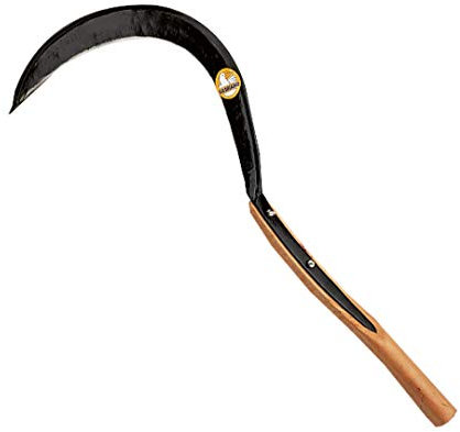 Agef 754