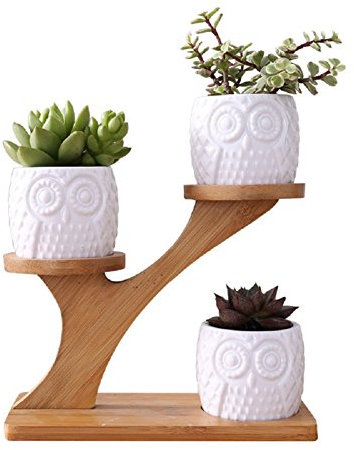3pcs Owl planters for Indoor Plants with Bamboo Saucers Stand Holder, White Ceramic Succulent Plant Pot with Drainage, Home Office Desk Garden Mini Cactus Planter Indoor Decoration Plant Holder