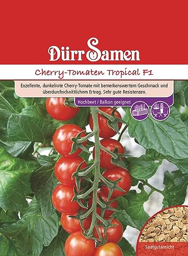 Cherry Tomaten Samen Tropical F1 Kirschtomate Tomatensamen Rote Tomaten ca 6 Korn Saatgut Robust Ertragreich Garten Hochbeet Kübel Dürr Samen