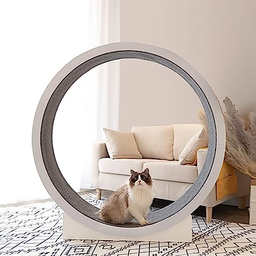 Cat Running Wheel, Pet Cat Climbing Frame, Pet Furniture Cat Scratch Board Grab Crawling Shelf Wheel Rotation Fitness Weight Loss Toys