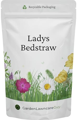 Lady’s Bedstraw Seeds 20g Pack - UK Native Wildflower Ideal for Meadows, Borders and Naturalistic Lawns and Pollinators - Galium verum - Covers 10m²