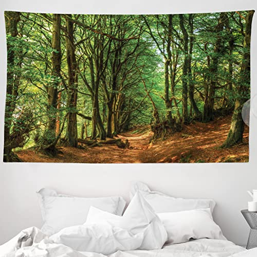 ABAKUHAUS Wald Wandteppich und Tagesdecke, Wald Pathway Szene aus Weiches Mikrofaser Stoff Waschbar ohne Verblassen Digitaldruck, 230 x 140 cm, Grün braun