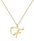 Halskette mit Initial in 18 Karat Gold F - Personalisierter Buchstaben-Schmuck für Frauen, handgefertigter Edelstahlanhänger, Geschenk für Geburtstag, Weihnachten, Abschluss, Valentinstag, Muttertag