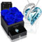 Ewige Rose Box mit Herz Halskette, Upgrade Geschenke für Frauen mit 4 Konservierte Ewige Echte Rosen & Herz Halskette aus 925 Sterlingsilber Schmuck Rosenbox für Geburtstag Valentinstag (Blau Rose)