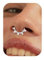 BodyBonita 16G Septum Piercing Schmuck – 316L Edelstahl Nasenring Nasenpiercing mit Zirkonia für Frauen Männer Conch Helix Piercings Tragus Daith Knorpel Ohrpiercing Silber 8mm Funkelnde Sterne