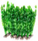 Plantes artificielles d'aquarium,10 Pack Plantes en Plastique décorations pour aquariu,Aquarium Plante Ornement