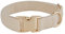YUDOTE Ultraweiches Hundehalsband natürliche Baumwolle Cord für Kleine Hunde mit empfindlicher Haut,Cremeweiß