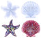 3D-Silikonformen mit Seesternmuscheln, Meerestierform, Kunstharz, Seestern, Muscheln, Epoxidform, DIY, Handwerk, Gießform für Geschenk, Zuhause, Büro, Ornament-Dekoration