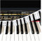 JYCSTE Removable Piano Keyboard Note Labels, Silicone Piano Notes Stickers Guide for Beginner, Reusable 88 Key Full Size Piano Key Music Notes Letter Label