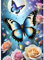 QINRUBB DIY Schmetterling Diamond Painting Erwachsene, 5D Blumen Diamant Painting Bilder Anfänger, Fantasie Runder Vollbohrer Diamanten Malerei Stickerei Kreuzstich Geschenke Home Wand Dekor 30x40cm