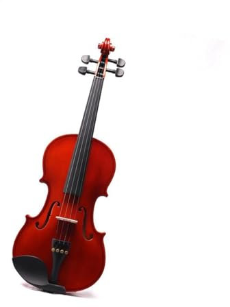 Anfänger Violine Ahorn Linkshänder Violine 4/4 Saiteninstrument Profi