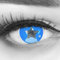 Farbige Blaue Kontaktlinsen 1 Paar Anime Blue Circle Lenses Heroes Of Cosplay Stark Deckend. Monatlinsen für Kostüme, Halloween, Fasching, Karneval mit gratis Linsenbehälter - Ohne Stärke