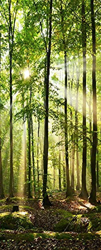 A.Monamour Türtapete Selbstklebend Türfolie Türposter 3D Sonnenaufgang In Der Grünen Wald Naturlandschaft Vinyl Folie Türdeko Tapete Wandbild Türaufkleber Türtattoo 85 x 200 cm