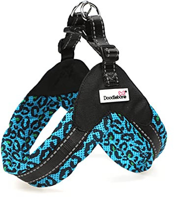 Doodlebone Muster Bumerang Hundegeschirr, Night Leopard, 6-7