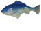 Einzigartige Fisch-Skulptur im Garten, perfekt für Außenbereiche (blau)