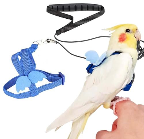 Harnais réglable pour Perroquet Laisse pour Animal Domestique Corde Anti-morsure Sangle élastique pour Oiseaux perroquets cacatoès aras harnais perroquet harnais calopsitte