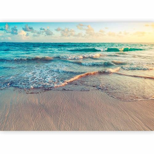 murando - Papier peint panoramique paysage 350x256 cm - Revêtement mural décoration salon - Design moderne - Blanc marron bleu - Nuages vagues mer ciel sable plage tropical eau c-B-0358-a-a