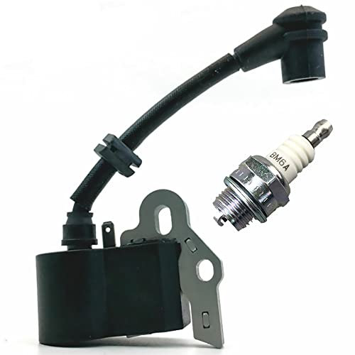 Realman 5783035-01 9288-332101 Zündspule Modul mit Zündkerze für Einhell MSB28 Partner T265CPS McCulloch MT260CLS MT265CPS MAC MB305CBS MAC426L T305CPS Rasentrimmer